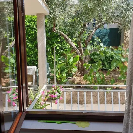 Blue Sky * コルチュラ